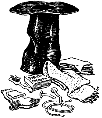 Иллюстрация к книге — Незнайка на Луне [i_117.png]