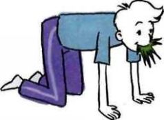 Иллюстрация к книге — 35 кило надежды [pic_17.jpg]