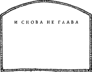 Иллюстрация к книге — Предпоследняя передряга [i_062.png]