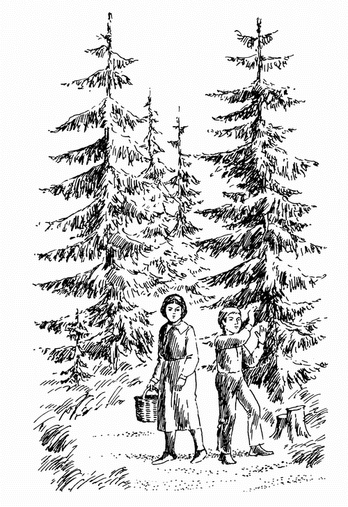 Иллюстрация к книге — Кладовая солнца. Рассказы о природе [i_006.png]