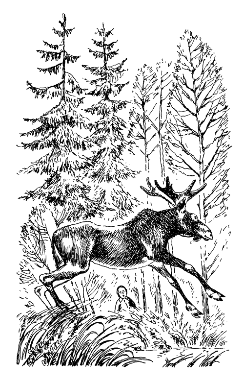 Иллюстрация к книге — Кладовая солнца. Рассказы о природе [i_012.png]