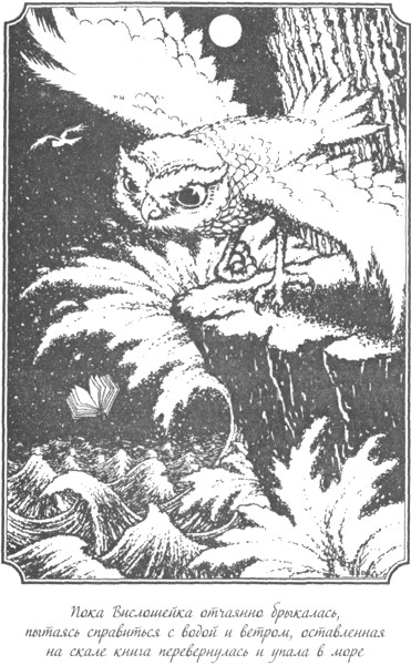 Иллюстрация к книге — Легенды ночных стражей 2: Осада [i_002.jpg]