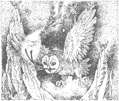 Иллюстрация к книге — Ночные стражи. Наследник [i_004.jpg]