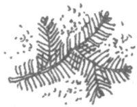 Иллюстрация к книге — Ночные стражи. Наследник [i_007.jpg]