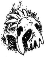 Иллюстрация к книге — Ночные стражи. Наследник [i_010.jpg]