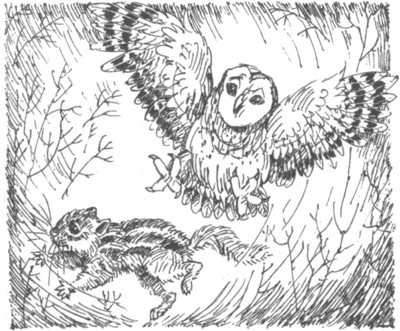 Иллюстрация к книге — Ночные стражи. Наследник [i_011.jpg]