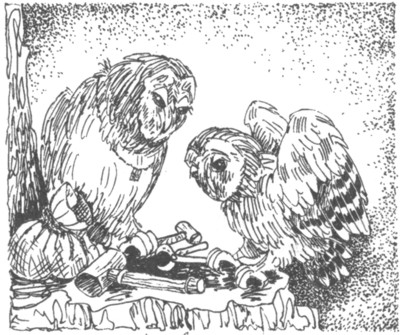 Иллюстрация к книге — Ночные стражи. Наследник [i_012.jpg]