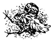 Иллюстрация к книге — Ночные стражи. Наследник [i_020.jpg]