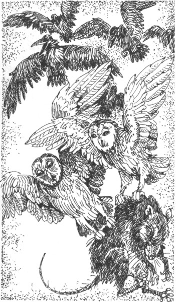 Иллюстрация к книге — Ночные стражи. Наследник [i_024.jpg]