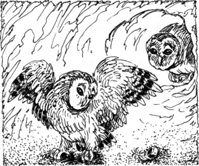 Иллюстрация к книге — Ночные стражи. Наследник [i_030.jpg]