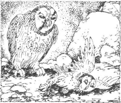 Иллюстрация к книге — Ночные стражи. Наследник [i_032.jpg]