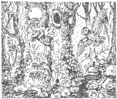 Иллюстрация к книге — Ночные стражи. Наследник [i_039.jpg]