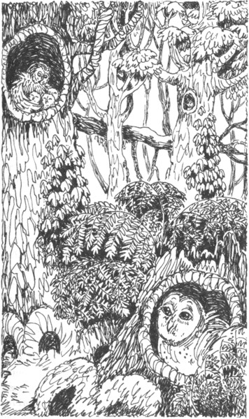 Иллюстрация к книге — Ночные стражи. Наследник [i_040.jpg]