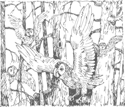 Иллюстрация к книге — Ночные стражи. Изгнанник [i_006.jpg]