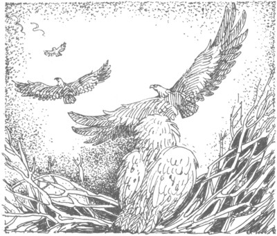 Иллюстрация к книге — Ночные стражи. Изгнанник [i_013.jpg]