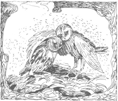 Иллюстрация к книге — Ночные стражи. Изгнанник [i_014.jpg]