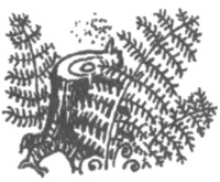 Иллюстрация к книге — Ночные стражи. Изгнанник [i_016.jpg]