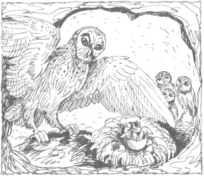 Иллюстрация к книге — Ночные стражи. Изгнанник [i_021.jpg]