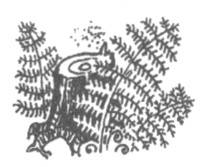 Иллюстрация к книге — Ночные стражи. Изгнанник [i_022.jpg]