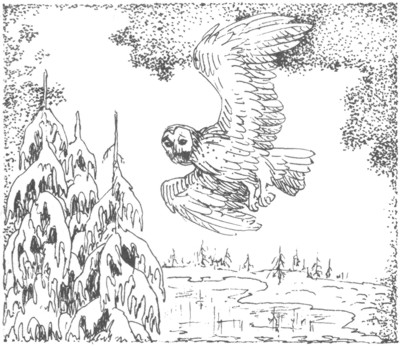 Иллюстрация к книге — Ночные стражи. Изгнанник [i_023.jpg]