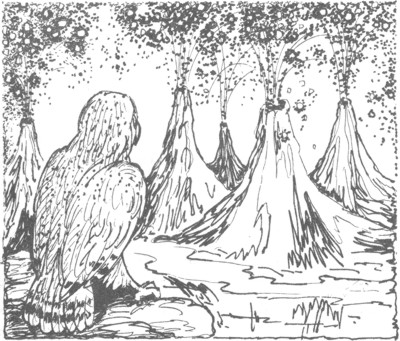 Иллюстрация к книге — Ночные стражи. Изгнанник [i_025.jpg]