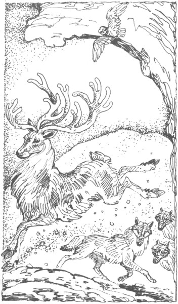 Иллюстрация к книге — Ночные стражи. Изгнанник [i_026.jpg]