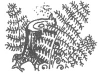 Иллюстрация к книге — Ночные стражи. Изгнанник [i_029.jpg]