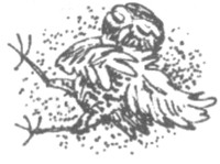 Иллюстрация к книге — Ночные стражи. Изгнанник [i_035.jpg]