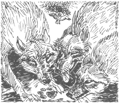 Иллюстрация к книге — Ночные стражи. Изгнанник [i_038.jpg]