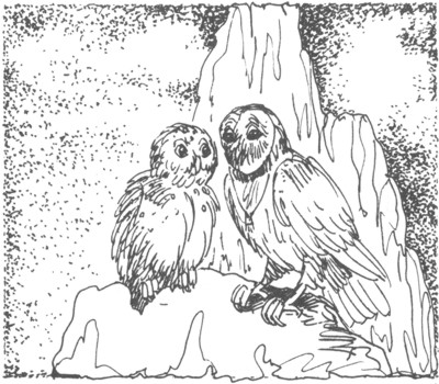 Иллюстрация к книге — Ночные стражи. Изгнанник [i_045.jpg]