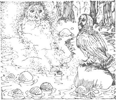 Иллюстрация к книге — Ночные стражи. Изгнанник [i_052.jpg]