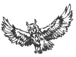 Иллюстрация к книге — Ночные стражи. Первый угленос [i_001.jpg]