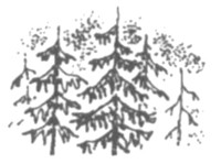 Иллюстрация к книге — Ночные стражи. Первый угленос [i_009.jpg]