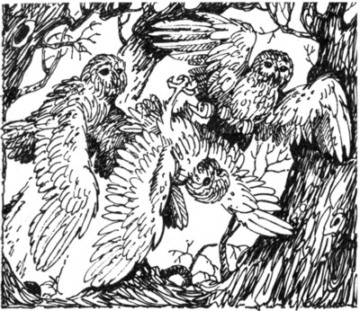 Иллюстрация к книге — Ночные стражи. Первый угленос [i_014.jpg]