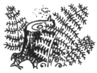 Иллюстрация к книге — Ночные стражи. Первый угленос [i_017.jpg]