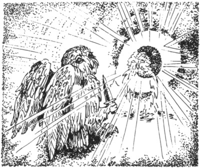 Иллюстрация к книге — Ночные стражи. Первый угленос [i_020.jpg]