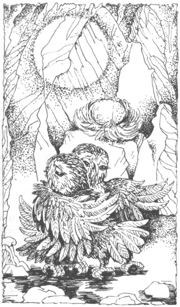 Иллюстрация к книге — Ночные стражи. Первый угленос [i_025.jpg]