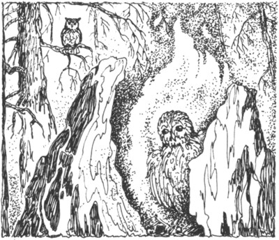 Иллюстрация к книге — Ночные стражи. Первый угленос [i_028.jpg]