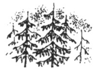 Иллюстрация к книге — Ночные стражи. Первый угленос [i_029.jpg]