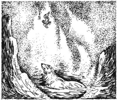 Иллюстрация к книге — Ночные стражи. Первый угленос [i_044.jpg]