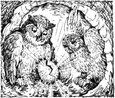 Иллюстрация к книге — Ночные стражи. Первый угленос [i_052.jpg]