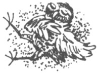 Иллюстрация к книге — Ночные стражи. Первый угленос [i_054.jpg]