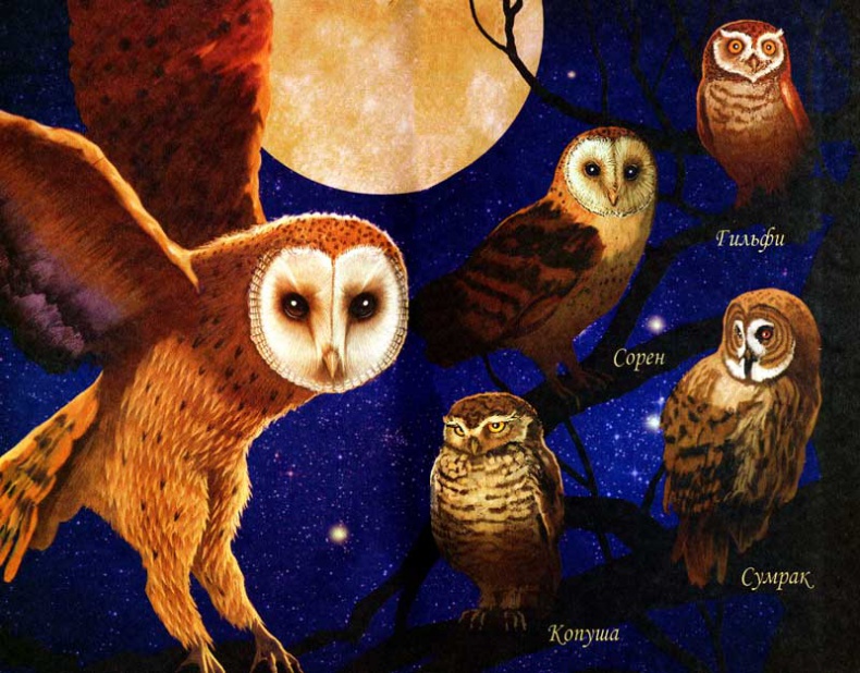 Иллюстрация к книге — Ночные стражи. Золотое Древо [i_002.jpg]