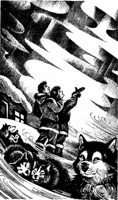 Иллюстрация к книге — Ледяная пустыня [pic06.jpg]