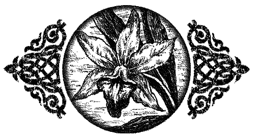 Иллюстрация к книге — Пентакль [i_031.png]