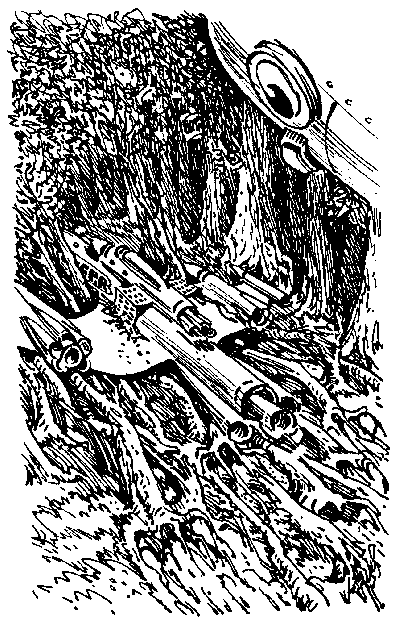 Иллюстрация к книге — Город без памяти [i_003.png]