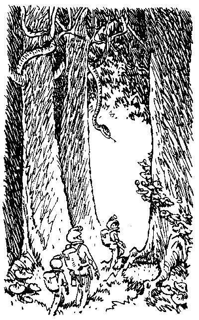 Иллюстрация к книге — Город без памяти [i_004.png]