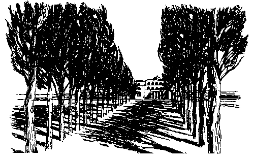 Иллюстрация к книге — Женщина в белом [i_003.png]