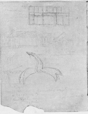 Иллюстрация к книге — Мертвые души. Том 7 [i_005.jpg]