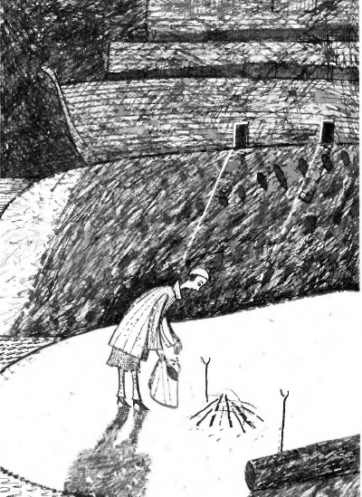 Иллюстрация к книге — Сто дней до Потопа [i_007.jpg]